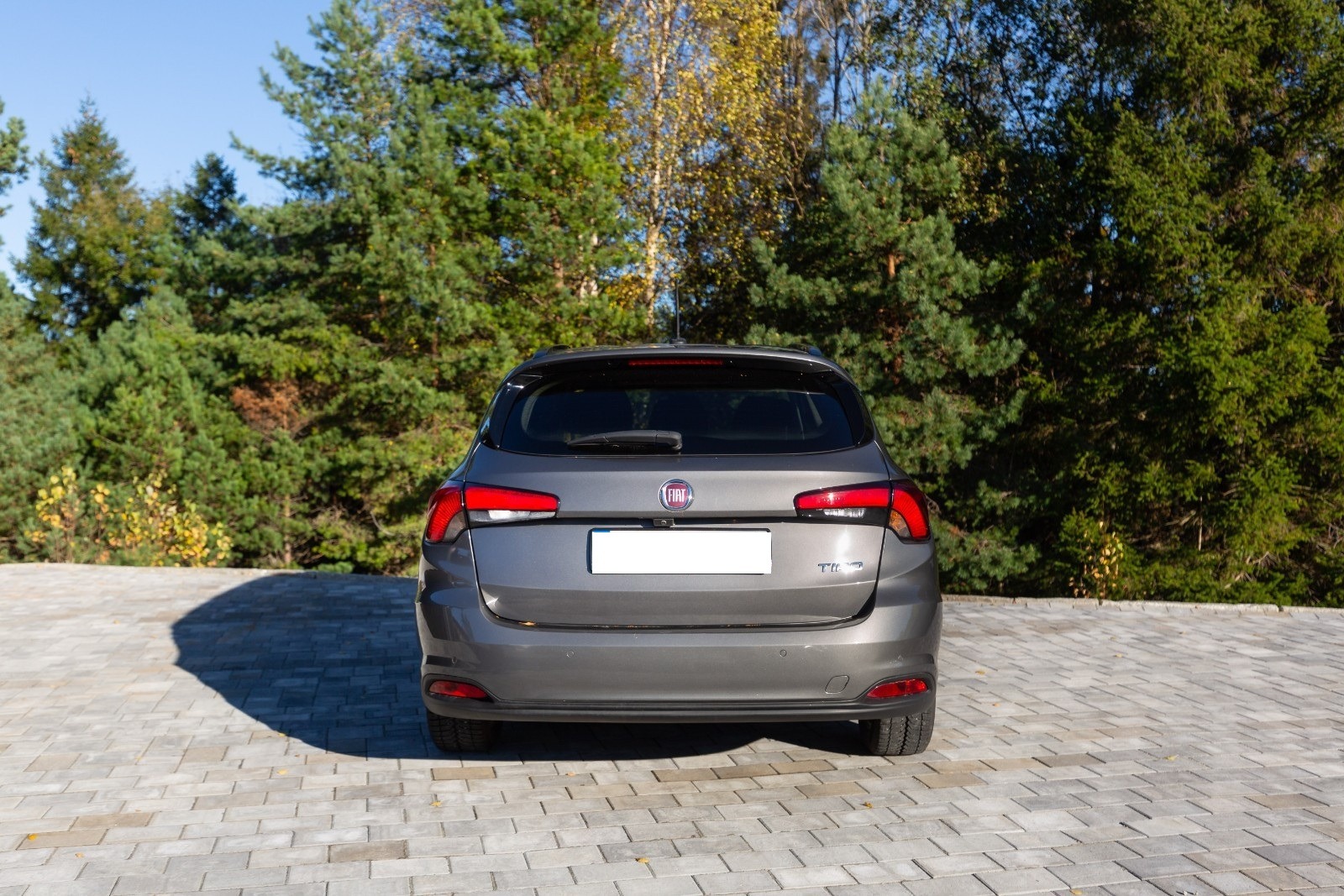 Szary Fiat Tipo kombi sfotografowany od tyłu na tle zielonych drzew i kostki brukowej, z widocznym logo producenta.