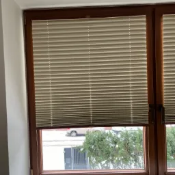 Beżowe plisy okienne w drewnianej ramie okna, widok na ulicę z zielenią i zaparkowanym samochodem.