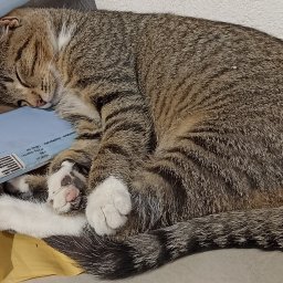 Usługi remontowo-budowlane Team Daniel's - Przebudowa Starych Domów Sanoczek