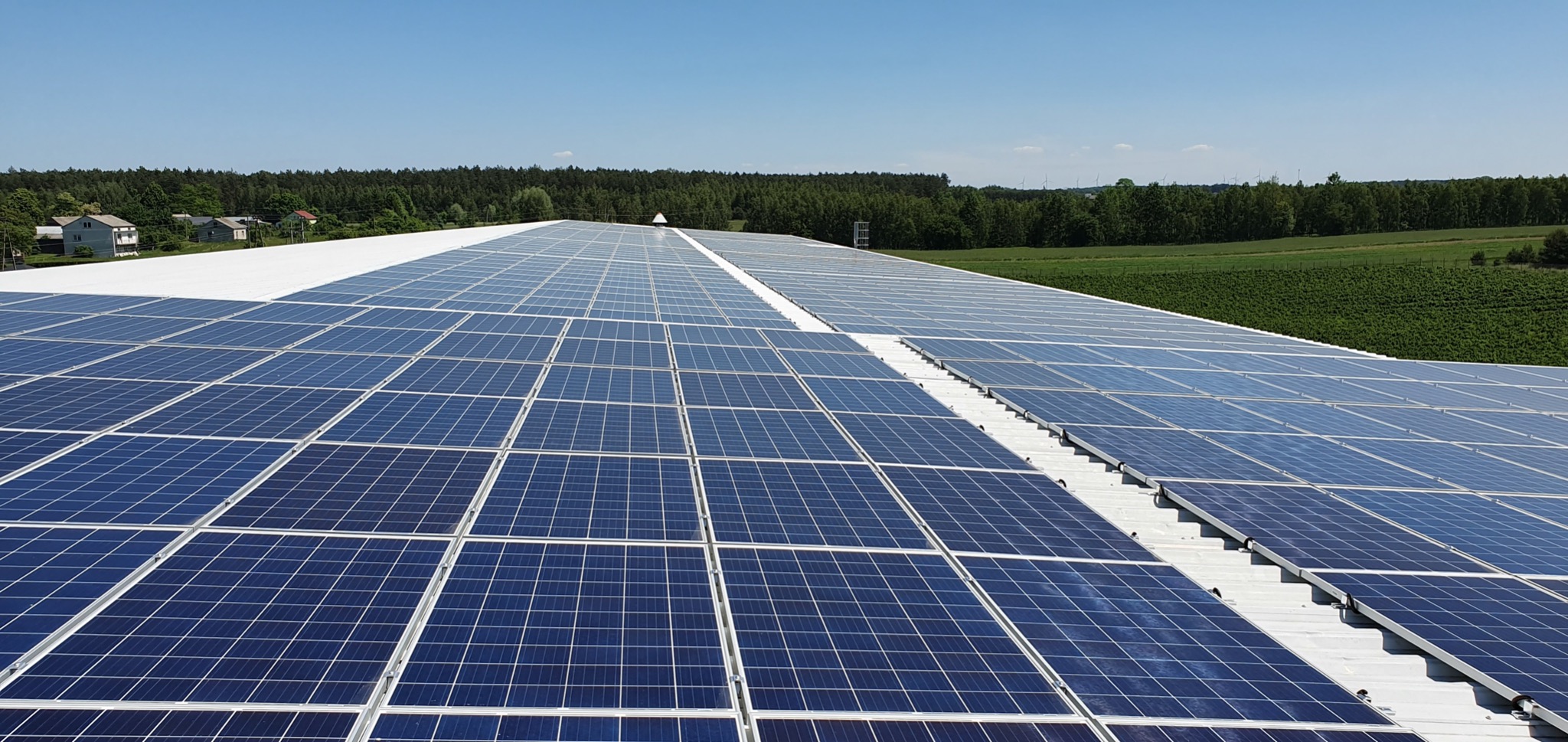 Rozległa instalacja paneli słonecznych na dachu budynku przemysłowego, z widokiem na zielone pola i las w tle, w słoneczny dzień.