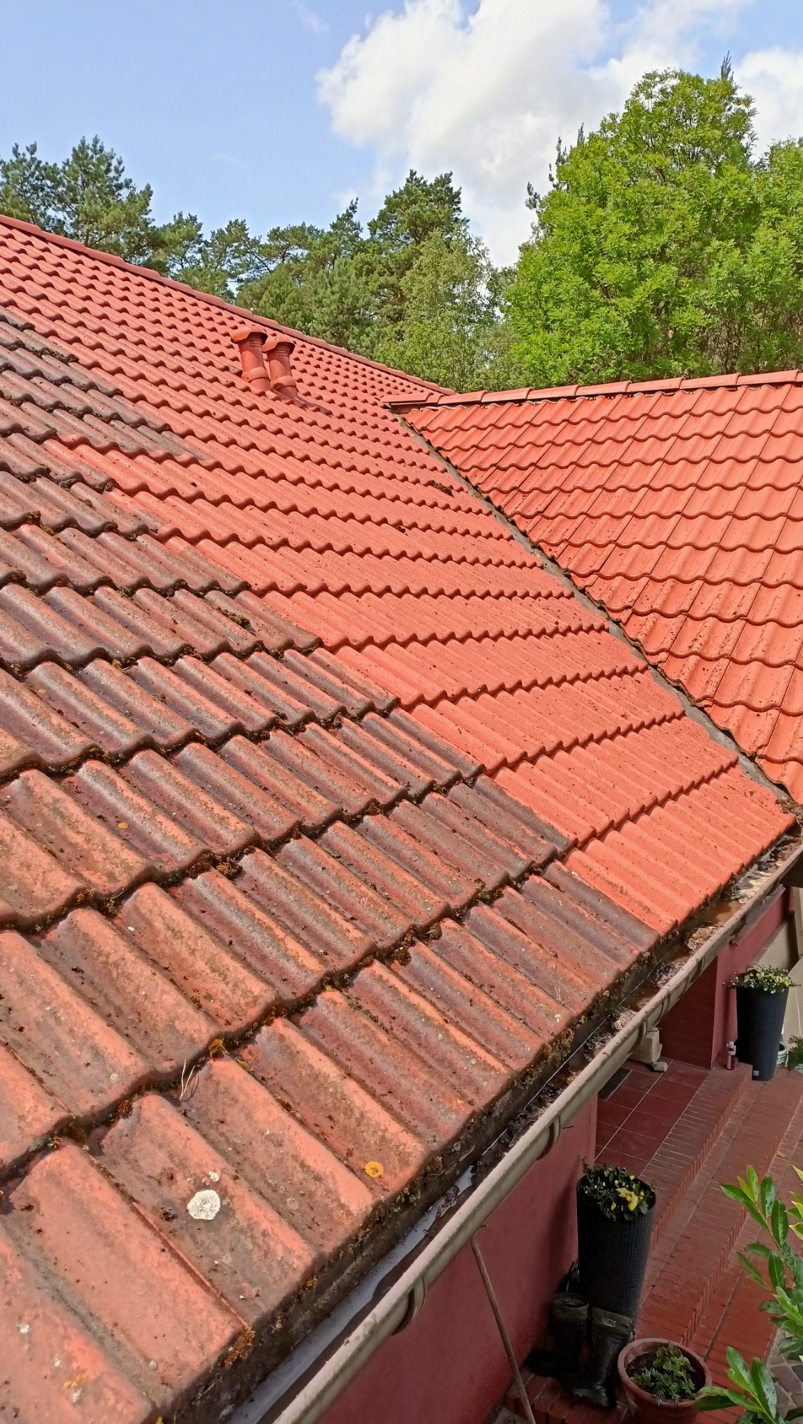 Częściowo oczyszczony dach z czerwonej dachówki, widoczna różnica w kolorze między czystą a zabrudzoną powierzchnią, rynna z zanieczyszczeniami, w tle drzewa i błękitne niebo.