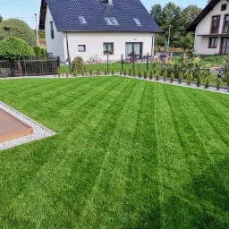 Perfekcyjnie utrzymany trawnik z wyraźnymi pasami koszenia, obrzeża z białego żwiru, młode tuje wzdłuż ogrodzenia, drewniany taras z żwirowym obramowaniem, w tle dom z ciemnym dachem i rower oparty...