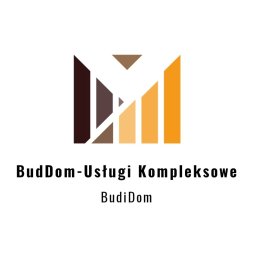 BudDom-Uslugi Kompleksowe - Sufit Napinany w Salonie Poznań