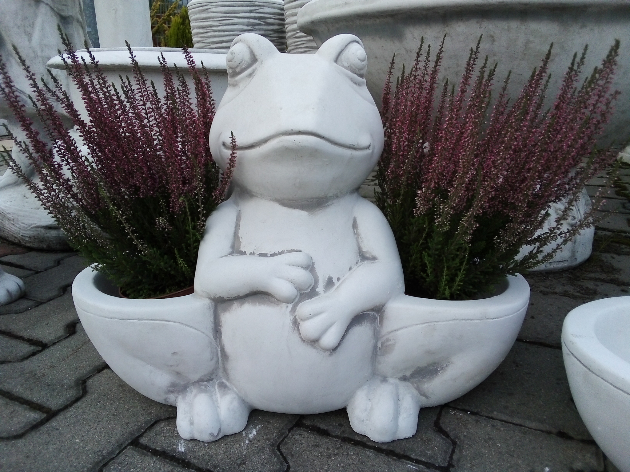 Betonowa donica w kształcie żaby z wrzosami po bokach, ustawiona na szarym bruku.