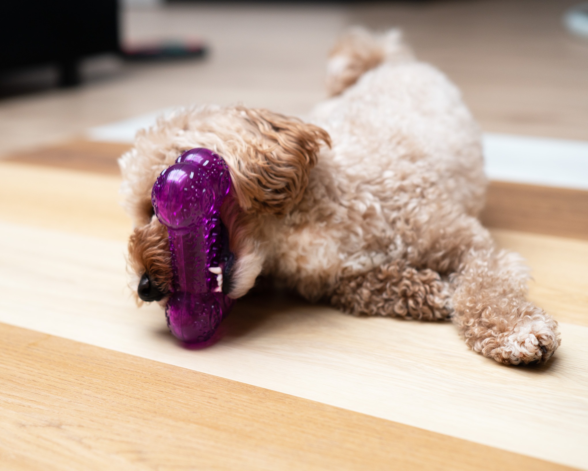 Testy klasy ścieralności nowej kolekcji 4ever clic :)