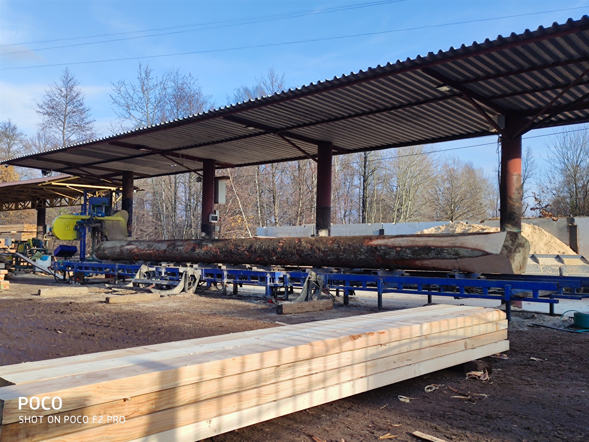 Proces obróbki drewna: kłoda na niebieskiej platformie w tartaku, obok stos tarcicy, w tle hałda trocin.