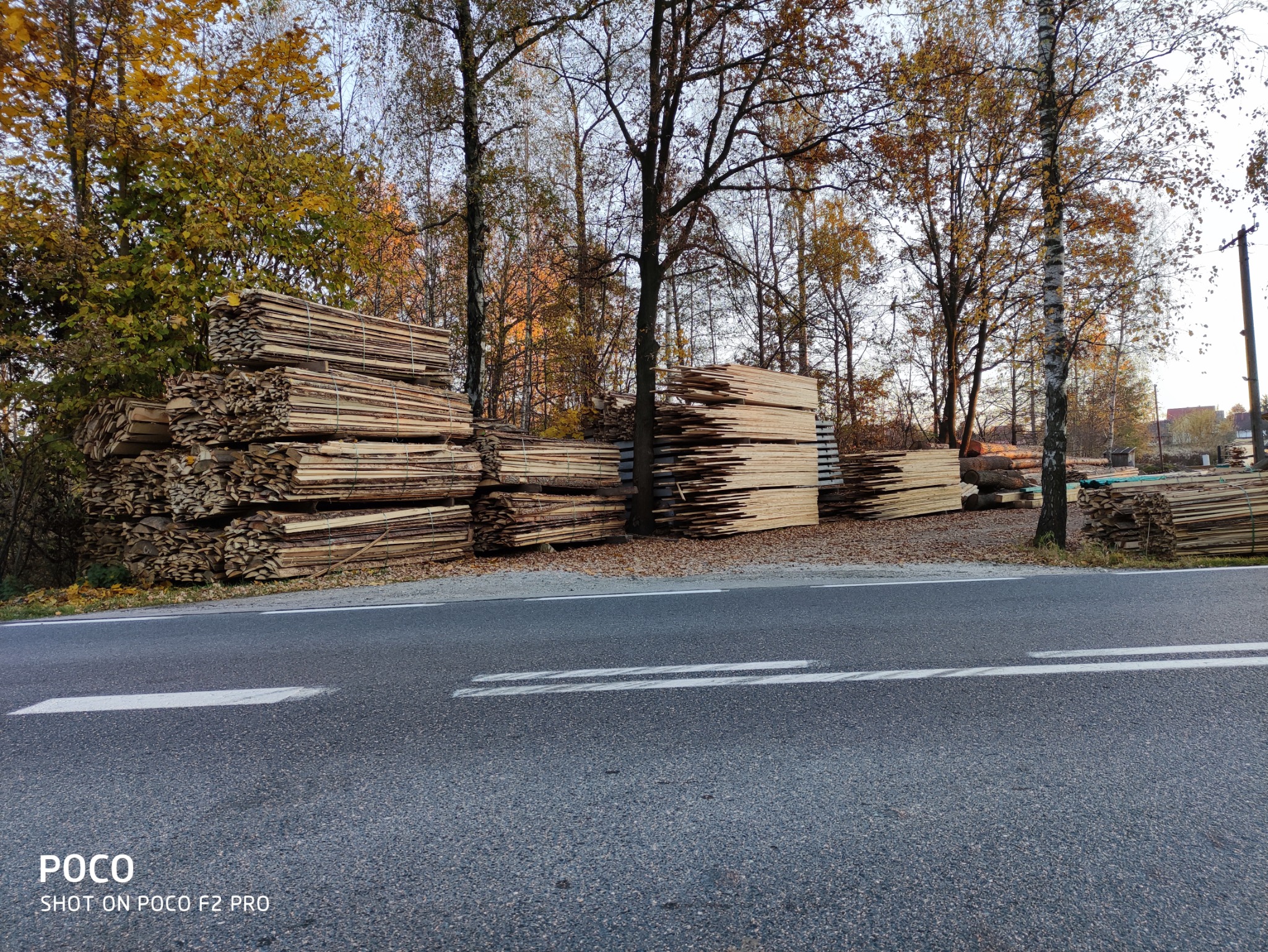 Stosy tarcicy ułożone wzdłuż drogi w jesiennej scenerii, z drzewami w tle i opadłymi liśćmi.