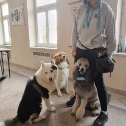 Kobieta z niebieskimi warkoczami i torbą treningową stoi z trzema psami różnych ras w jasnym pomieszczeniu z oknami i plakatem anatomicznym na ścianie.