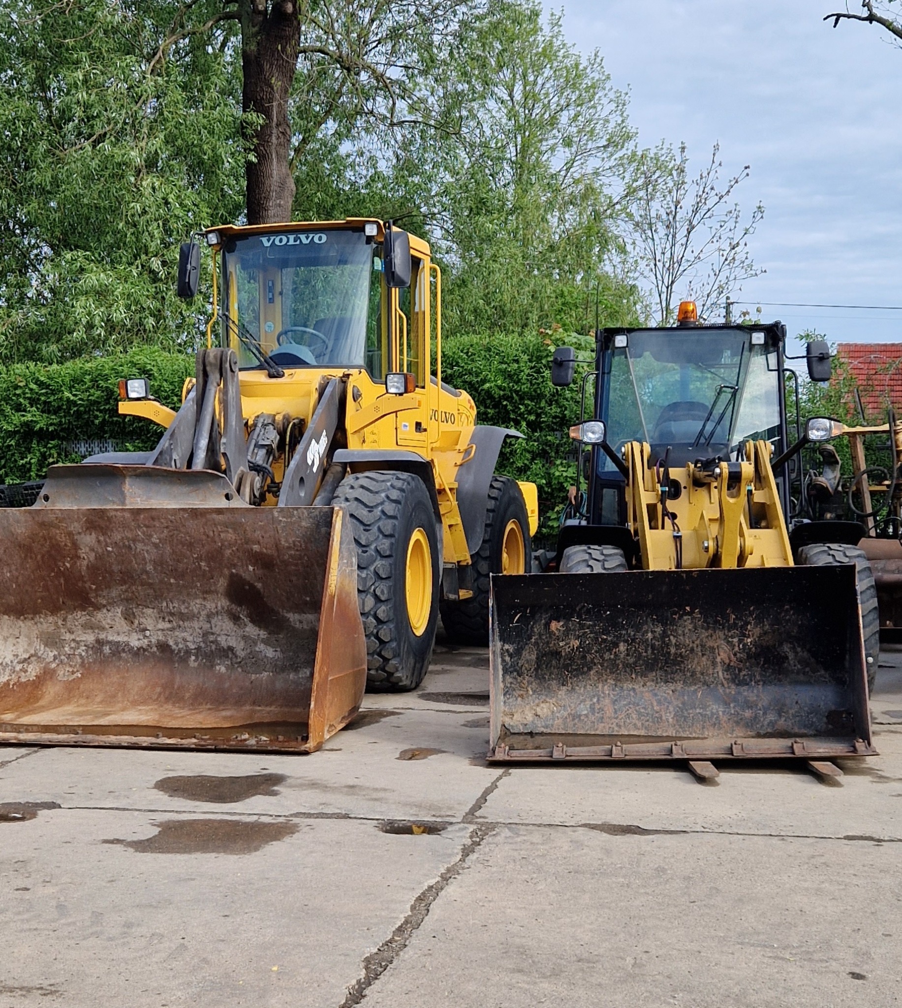 Dwie żółte ładowarki Volvo na betonowym placu, z widocznymi śladami użytkowania na łyżkach i oponach, na tle drzew i krzewów.