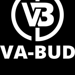 VA-BUD Vitalii Anisimov - Zbrojarz Piast&oacute;w