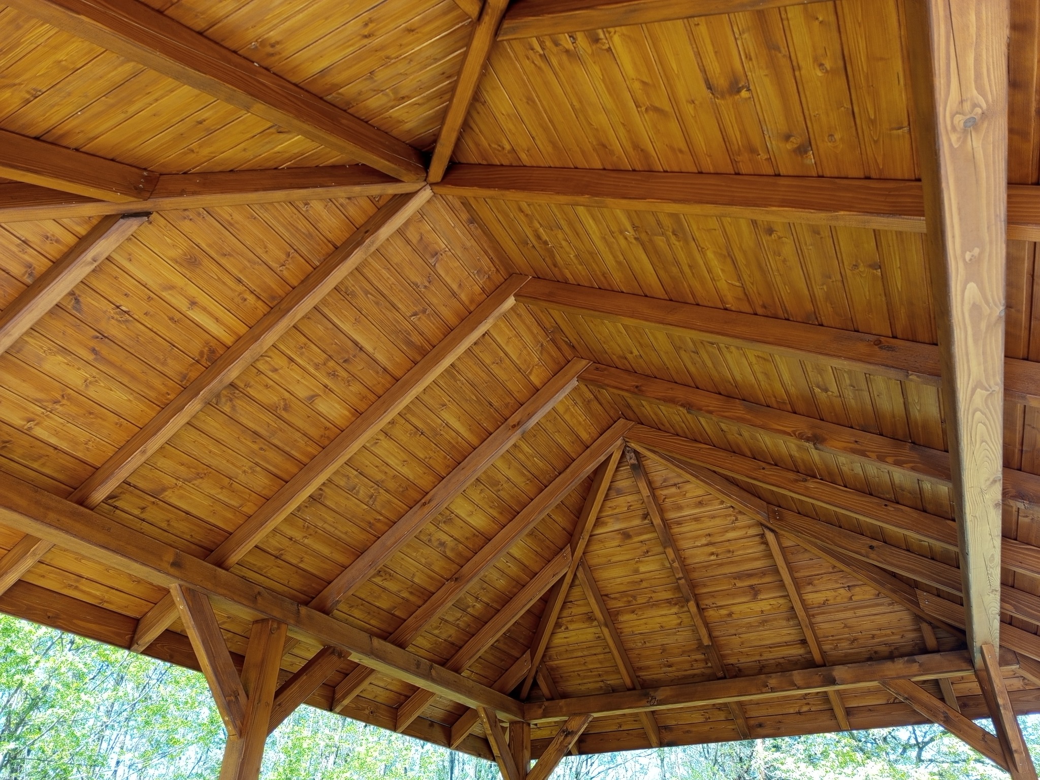 Wnętrze drewnianej altany z widoczną konstrukcją dachu z desek i belek, o ciepłym, brązowym odcieniu. Ujęcie od dołu, w tle zieleń drzew.