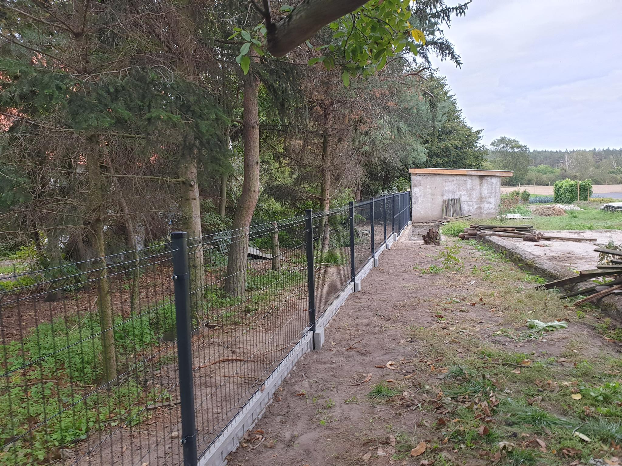 Nowo zamontowane ogrodzenie panelowe z czarną siatką i betonową podmurówką, widoczne wzdłuż leśnej działki z drzewami iglastymi i małym betonowym budynkiem w tle.