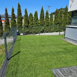 Równy trawnik z rolki przylegający do ogrodzenia panelowego i ściany budynku, w tle rząd tuj pod błękitnym niebem.