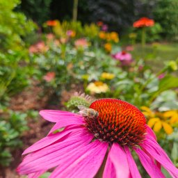 Garden Brand inż. Szymon Radomski - Doskonałe Odchwaszczanie Gdańsk