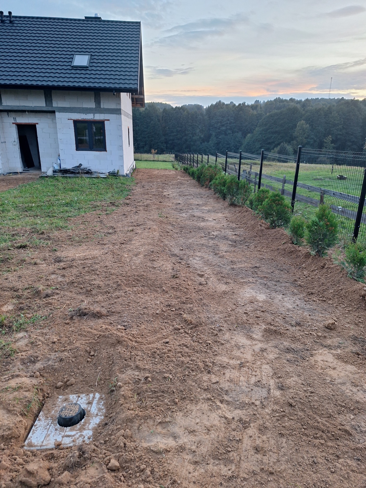 Teren po robotach ziemnych przy nowym domu, wyrównana ziemia, widoczna studzienka kanalizacyjna, ogrodzenie z nasadzonymi tujami, w tle las.