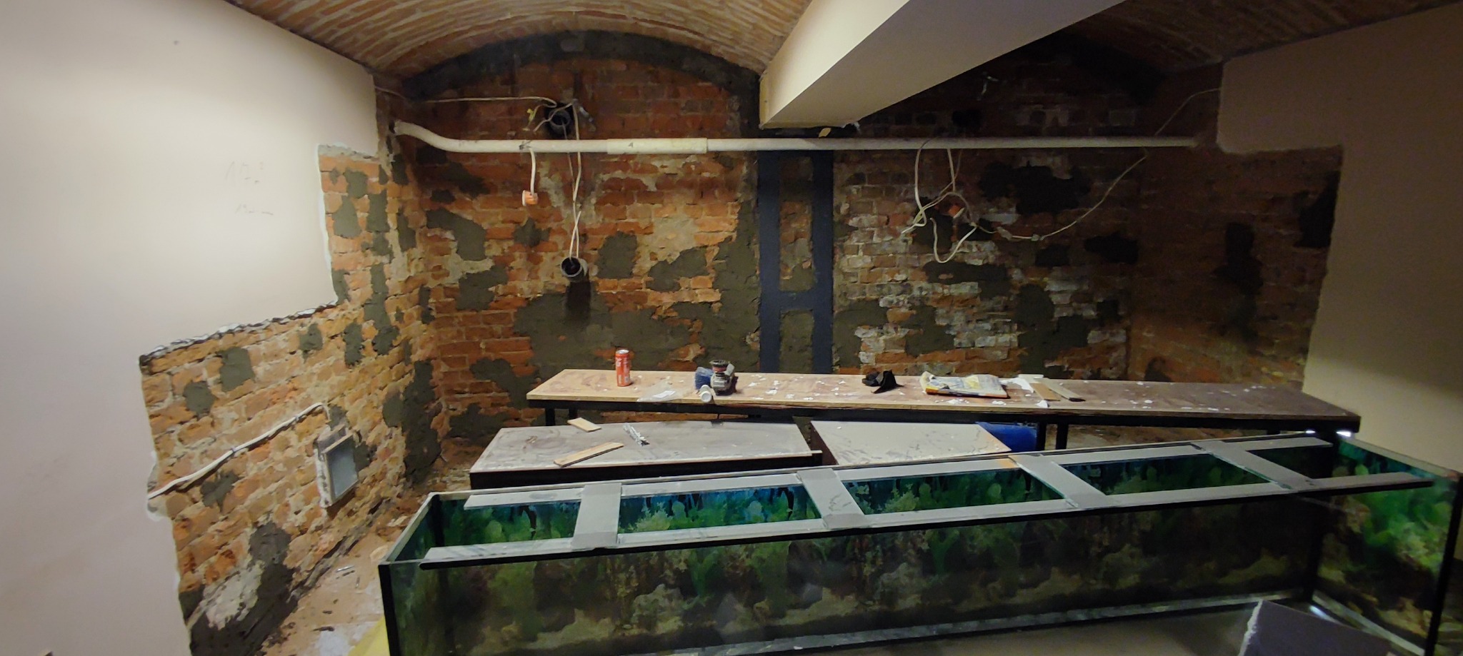 Renowacja Ścian Piwnicy