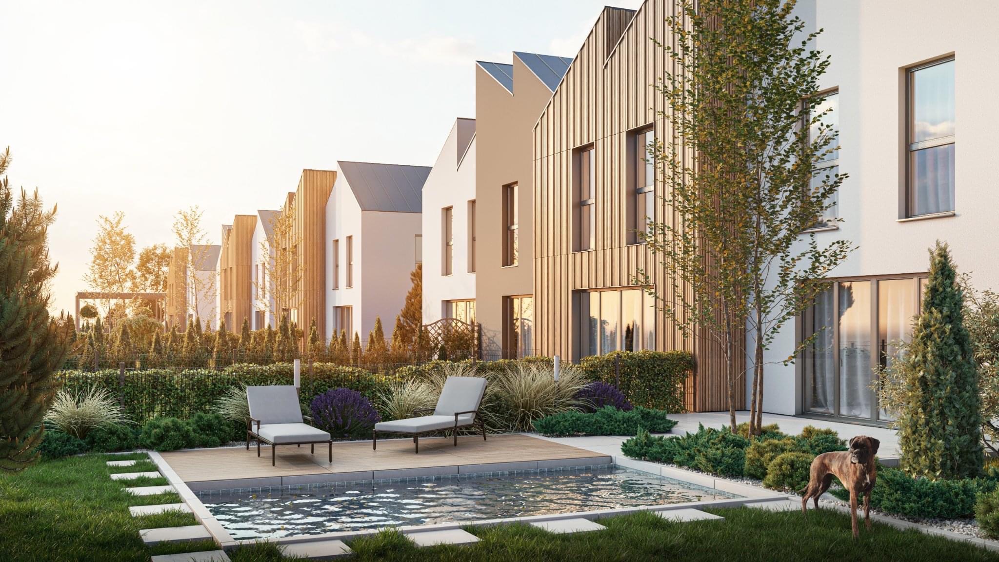 Nowoczesne osiedle domów jednorodzinnych z basenem i starannie zaprojektowanym ogrodem, widok z perspektywy trawnika z psem rasy bokser.