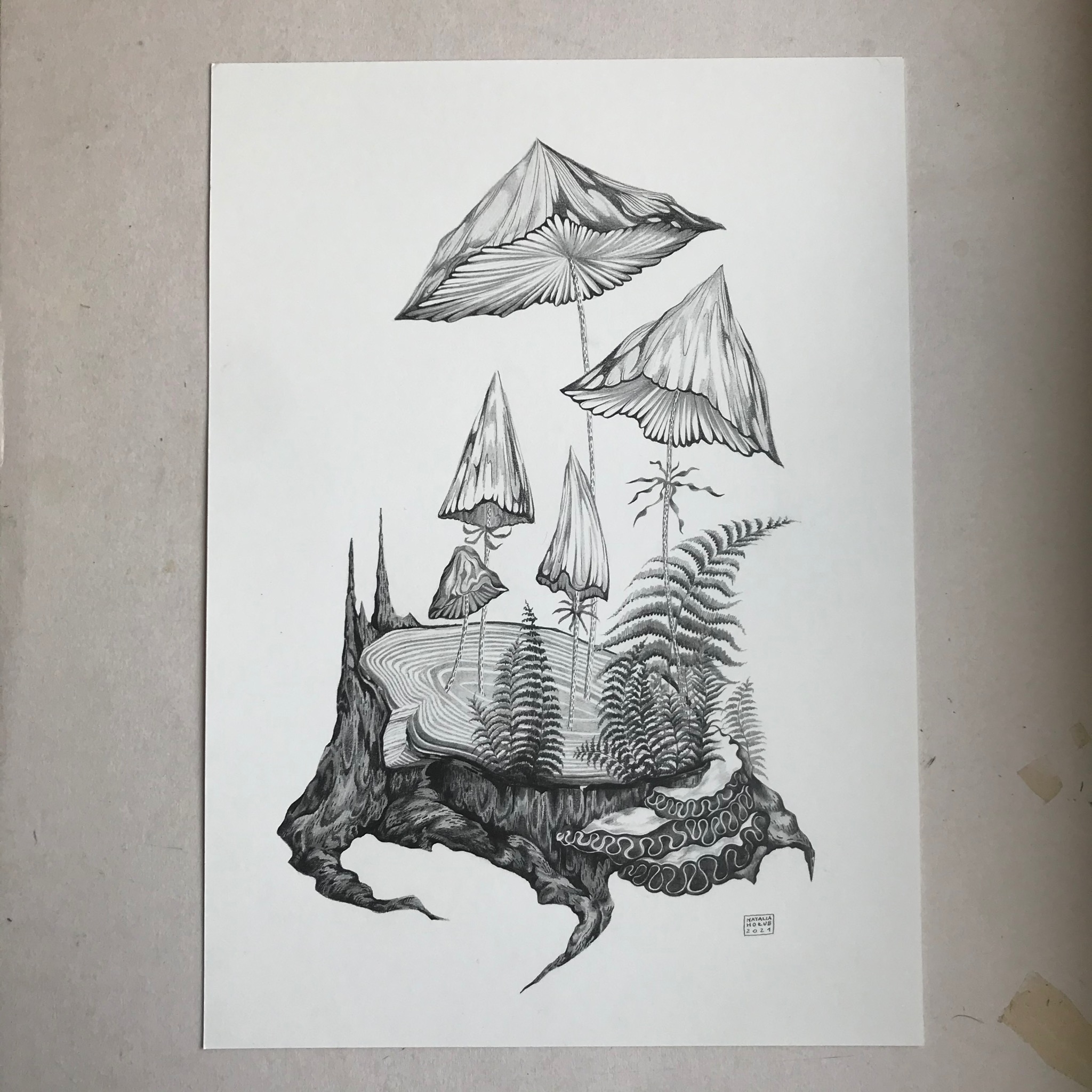 Rysunek na zamówienie. Życzenie klienta: 5 osobowa rodzina grzybków ołówek, a3