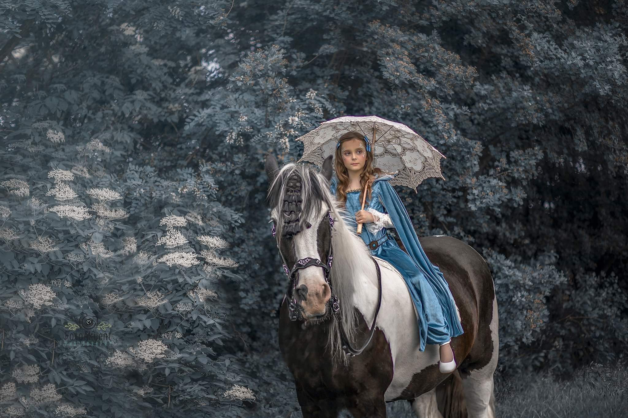 Dziewczynka w błękitnej sukni i pelerynie, z koronkowym parasolem, siedzi na koniu rasy Pinto z ozdobną uprzężą na tle ciemnych krzewów z białymi kwiatami.