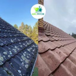 Porównanie stanu dachu przed i po czyszczeniu; lewa strona pokryta mchem i porostami, prawa strona czysta, w tle drzewa i niebo, w górnej części logo firmy świadczącej usługę.