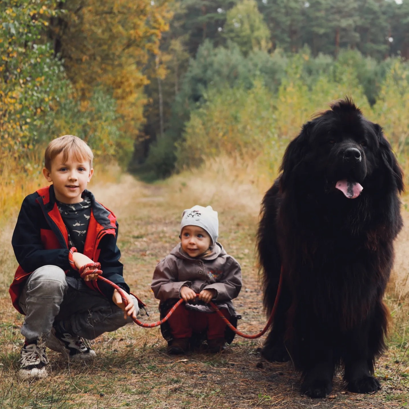 Dwaj chłopcy, jeden w czerwonej kurtce, drugi w szarej czapce, siedzą na polnej drodze obok dużego, czarnego psa rasy nowofundland, trzymając czerwoną smycz.