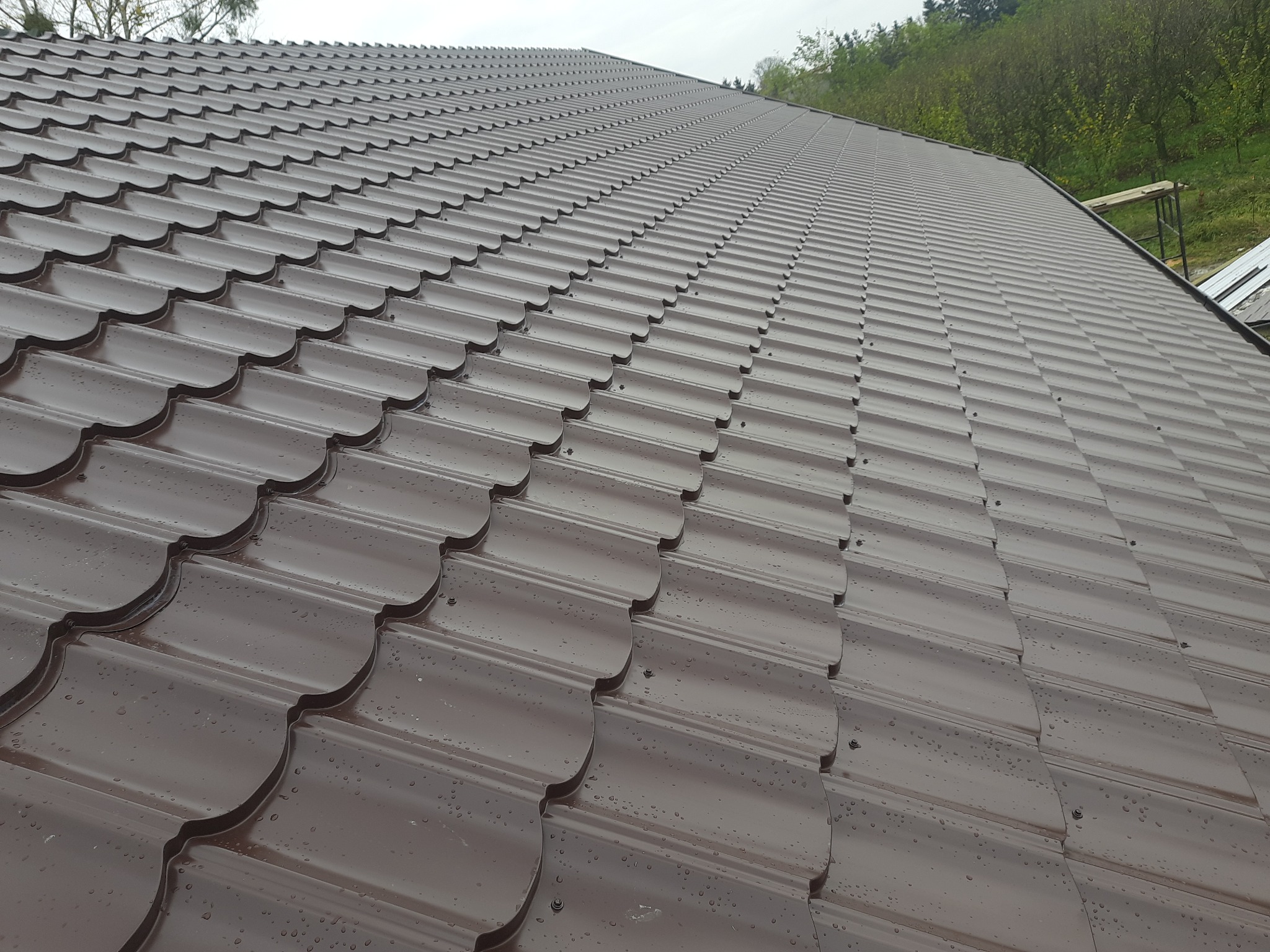 Nowy, brązowy dach z blachodachówki modułowej, widoczne krople deszczu na powierzchni, w tle zieleń drzew i pochmurne niebo.