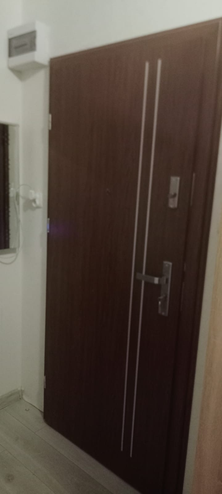 Ciemnobrązowe drzwi wejściowe z trzema pionowymi, białymi paskami, klamką i zamkiem, widoczne na tle białej ściany z włącznikiem i fragmentem lustra.