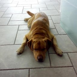 TOMASZ KĘPKA TOMART - Glazurnik Warszawa