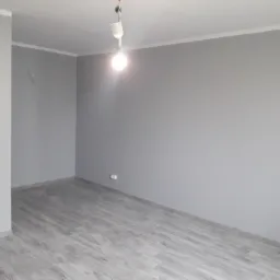 Pomalowane na szaro wnętrze pokoju z panelami podłogowymi w odcieniach szarości, widoczne gniazdka elektryczne i wisząca żarówka bez klosza.