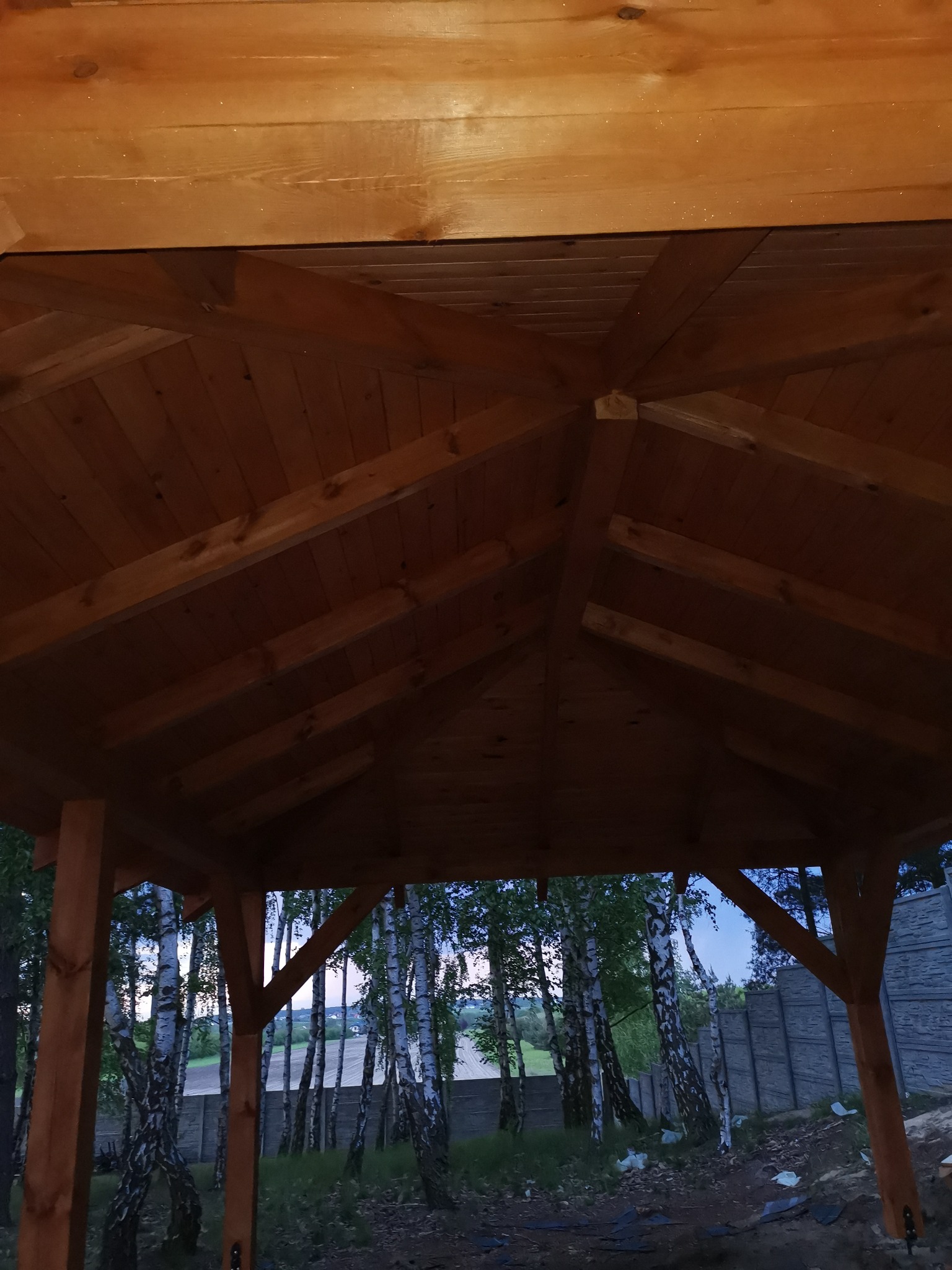 Wnętrze drewnianej konstrukcji z widokiem na brzozowy lasek i betonowe ogrodzenie w tle, widziane z dołu.