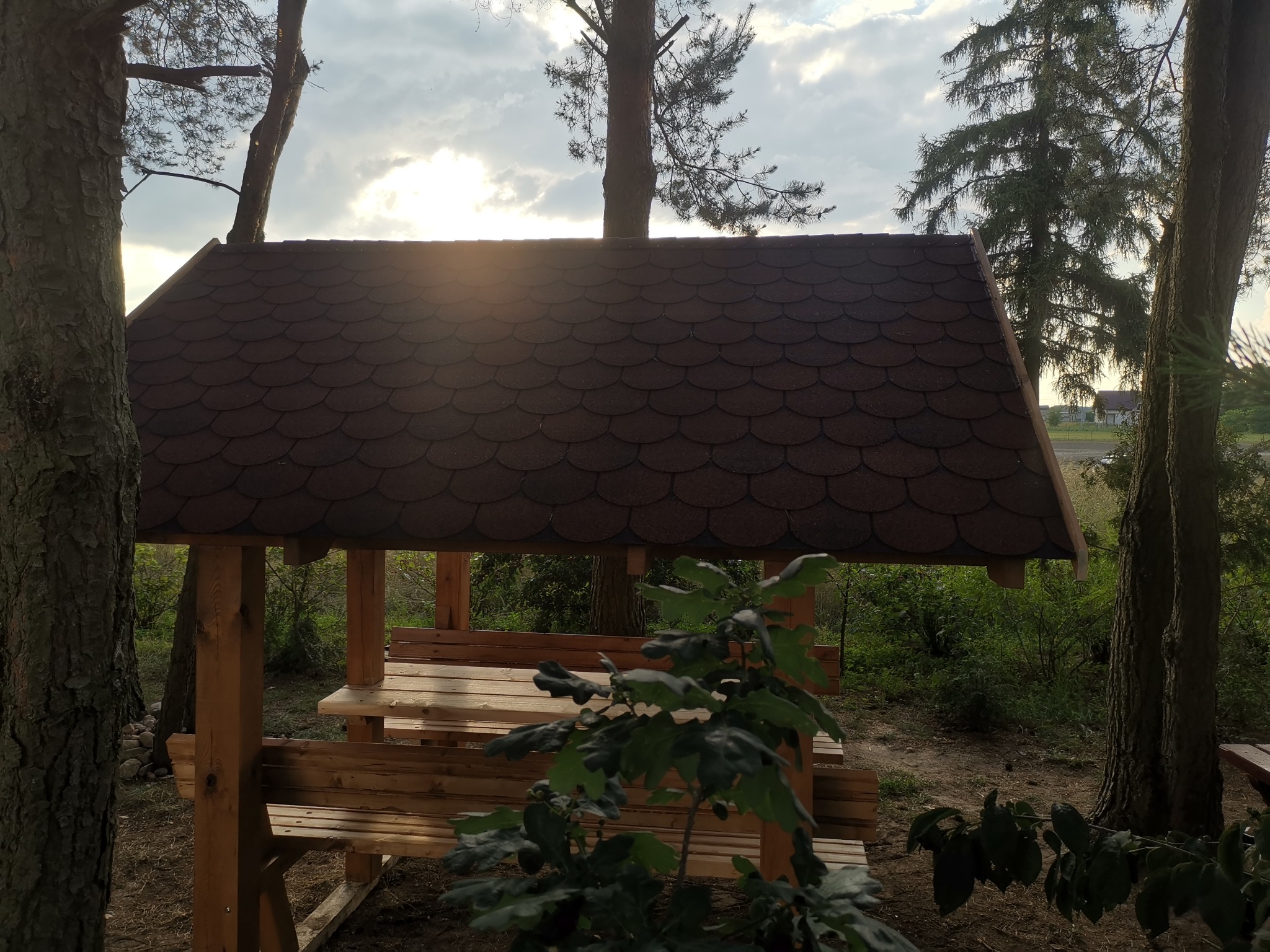 Drewniana altana z brązowym dachem gontowym, otoczona drzewami, z drewnianymi ławkami i stołami wewnątrz, widziana w świetle słonecznym przebijającym się przez chmury.