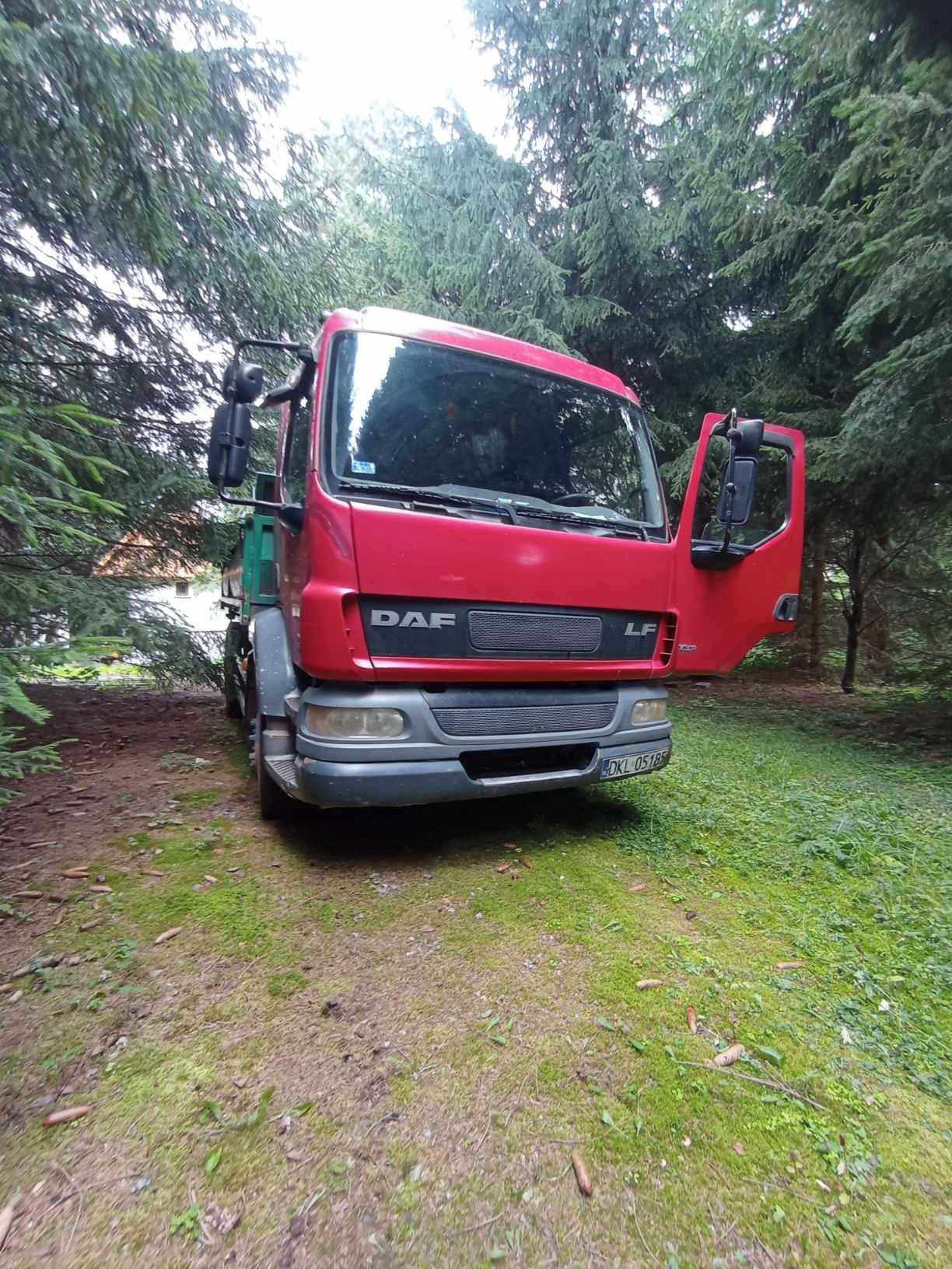 Czerwona ciężarówka DAF LF z otwartymi drzwiami, zaparkowana na trawiastym terenie wśród drzew iglastych.