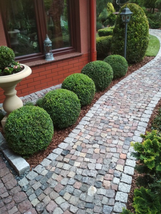 Ogród z równo przystrzyżonymi kulistymi krzewami bukszpanu, ścieżką z kostki granitowej i donicą z kwiatami przy ceglanym budynku.