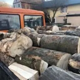 Kora drzewna w pniach, ułożona na pace pomarańczowej ciężarówki na tle zabudowań mieszkalnych.