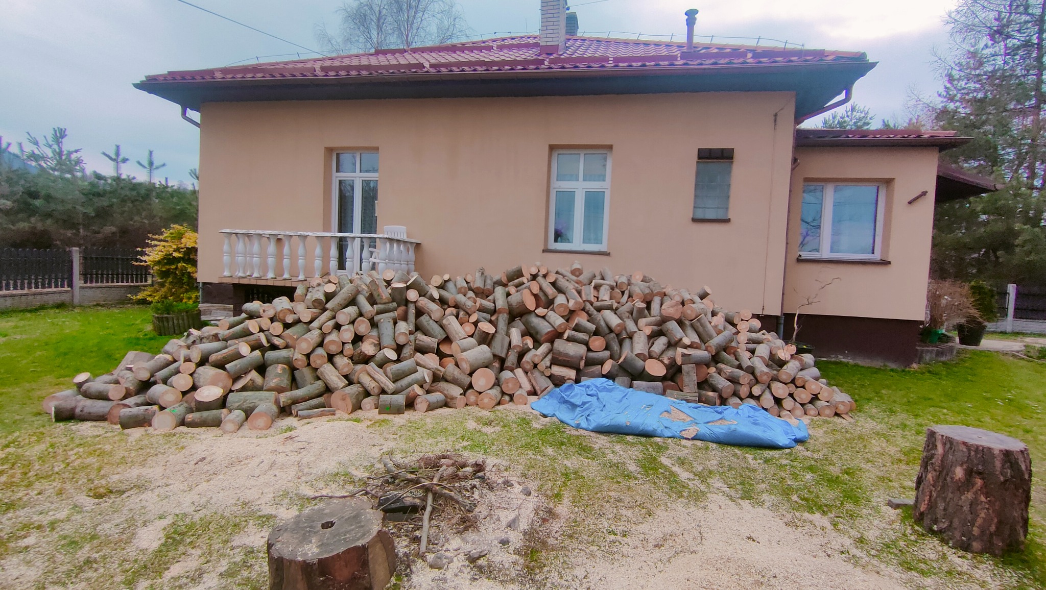 Stos pociętych klocków drewna przed beżowym domem z czerwoną dachówką, przykryty częściowo niebieską plandeką, z widocznymi śladami po cięciu i pniem drzewa obok.
