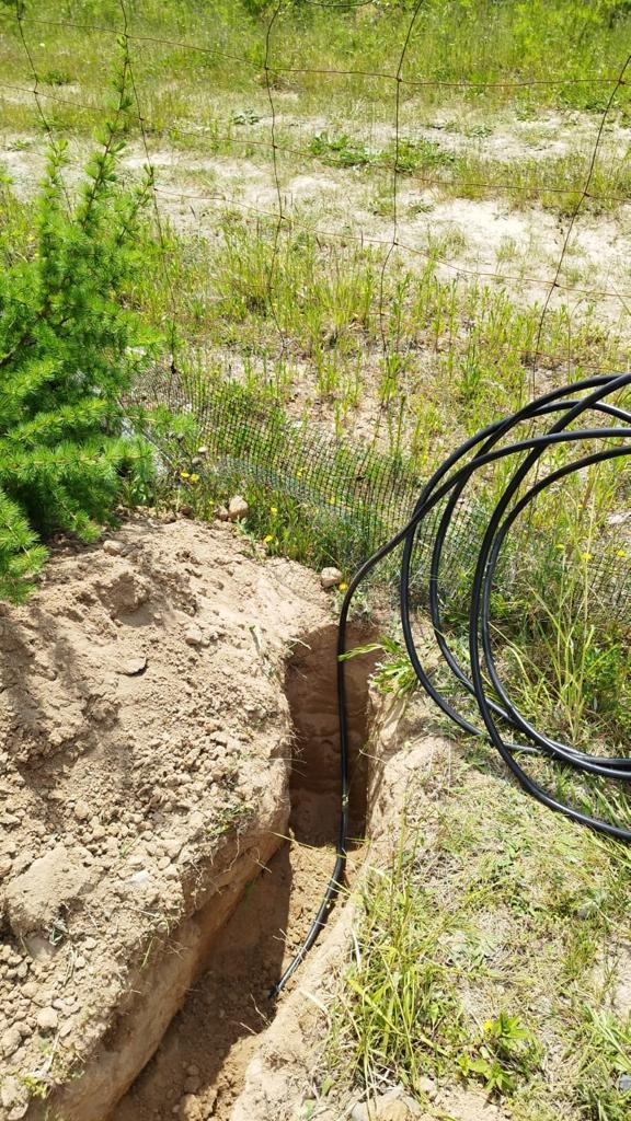 Wąski wykop w ziemi, w którym ułożony jest czarny kabel; na powierzchni ziemi widoczna trawa i siatka ogrodzeniowa.