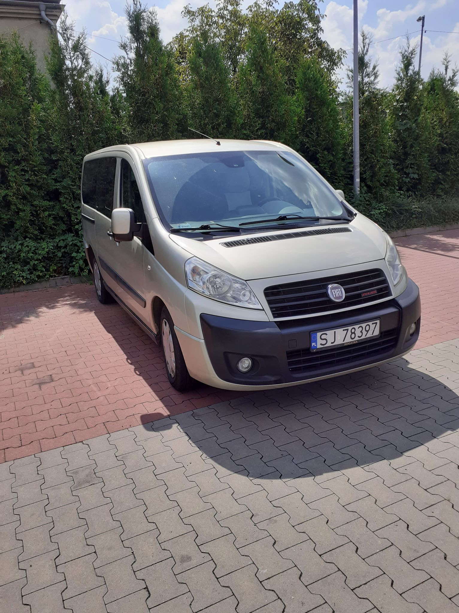 Beżowy van marki Fiat z polską tablicą rejestracyjną SJ 78397 zaparkowany na kostce brukowej przed zielonymi tujami w słoneczny dzień.
