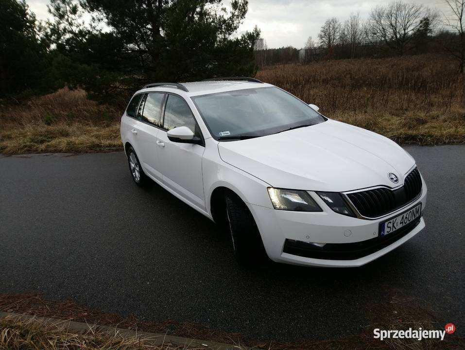 Biała Skoda Octavia kombi, zaparkowana na mokrym asfalcie, z widoczną tablicą rejestracyjną SK 460NM, na tle jesiennego krajobrazu.