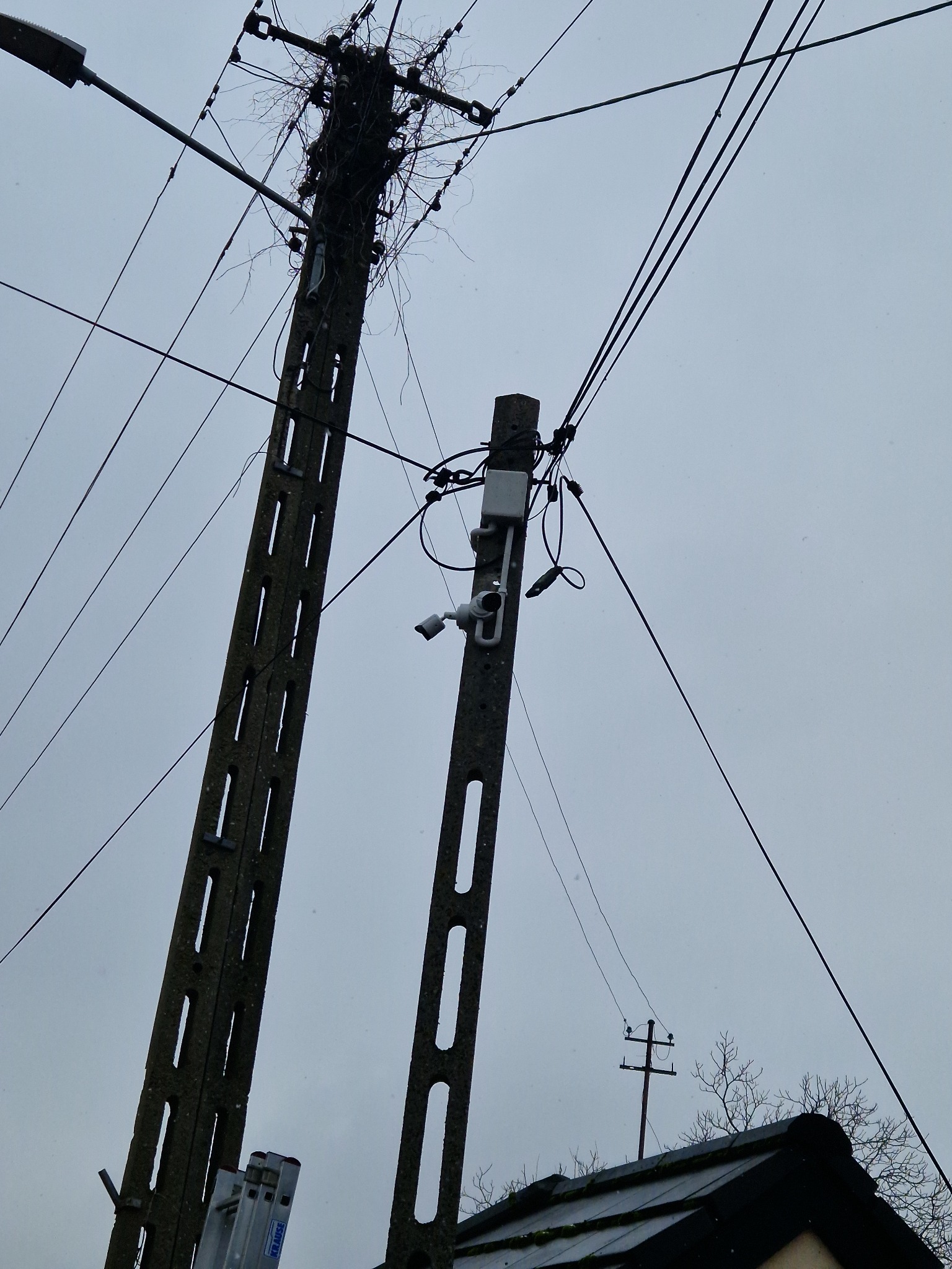 Kamera monitoringu zamontowana na betonowym słupie energetycznym, widoczny drugi słup z gniazdem dla ptaków i drabina oparta o pierwszy słup, tło stanowi pochmurne niebo.