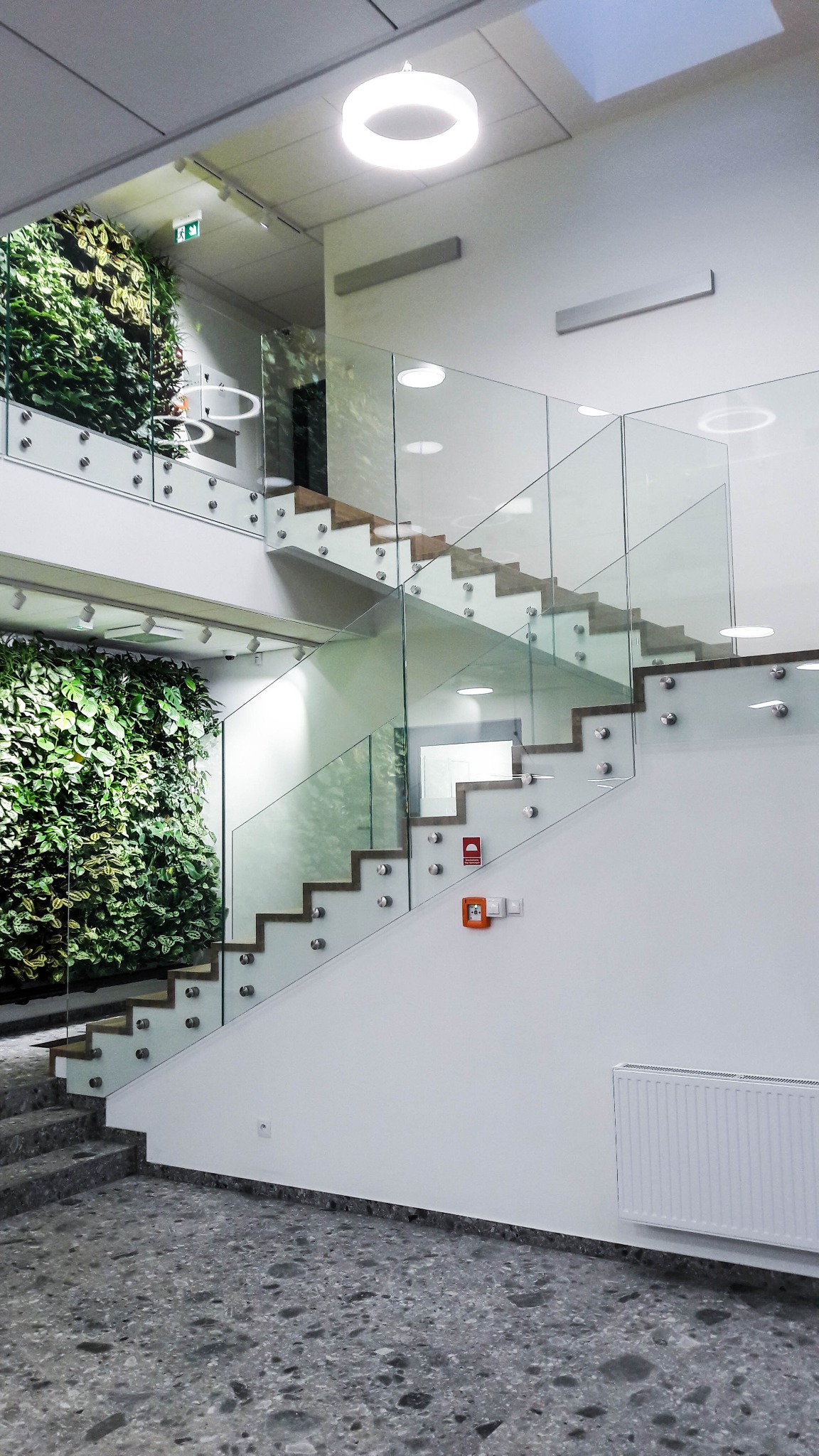Nowoczesne schody z drewnianymi stopniami i szklaną balustradą mocowaną na metalowych uchwytach, obok pionowa ściana z roślin w biurowcu.