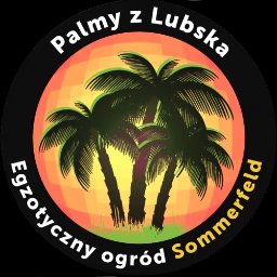 Palmy z Lubska - Ogrodnik Lubsko