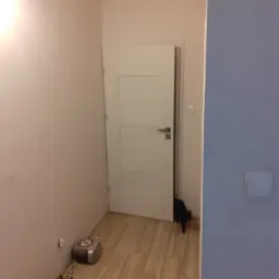 Wnętrze w trakcie odświeżania: świeżo położone panele podłogowe w odcieniach drewna, białe ściany częściowo pomalowane na jasny odcień, białe drzwi wewnętrzne i czarny kot w tle.