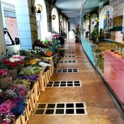 Foto Pablo Paweł Osiński - Kwiaciarnia w pasażu z arkadami; bogaty wybór kwiatów w koszach i wiązankach, różnorodność kolorów, widoczna sprzedawczyni i witryna cukierni w tle.
