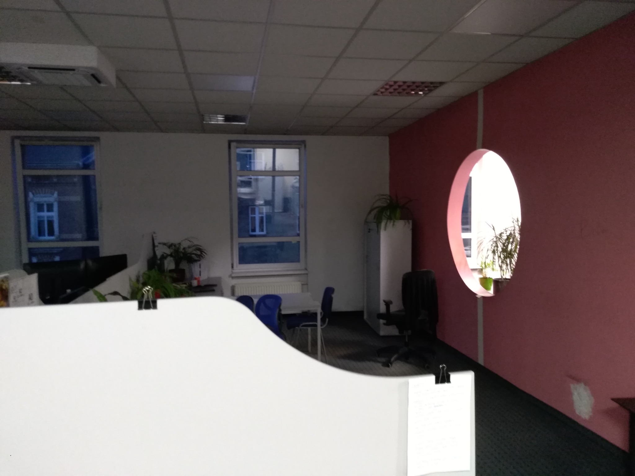 Biuro z różową ścianą i okrągłym oknem, widoczne biurka z niebieskimi krzesłami i rośliny doniczkowe.