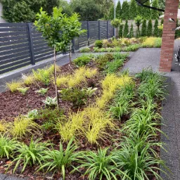 Kaskadowa kompozycja roślinna z ozdobnymi trawami, młodymi drzewkami i korą sosnową, oddzielona szarą kostką brukową od ceglanego muru domu i metalowego ogrodzenia.