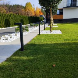 Kompleksowe zagospodarowanie zieleni przy domu prywatnym w tym : przygotowanie podłoża , wykonanie nasadzeń , wykonanie instalacji nawadniania , wykonanie instalacji oświetlenia, elementy ściółkujące , założenie trawnika z rolki wraz z siatką na kreta.