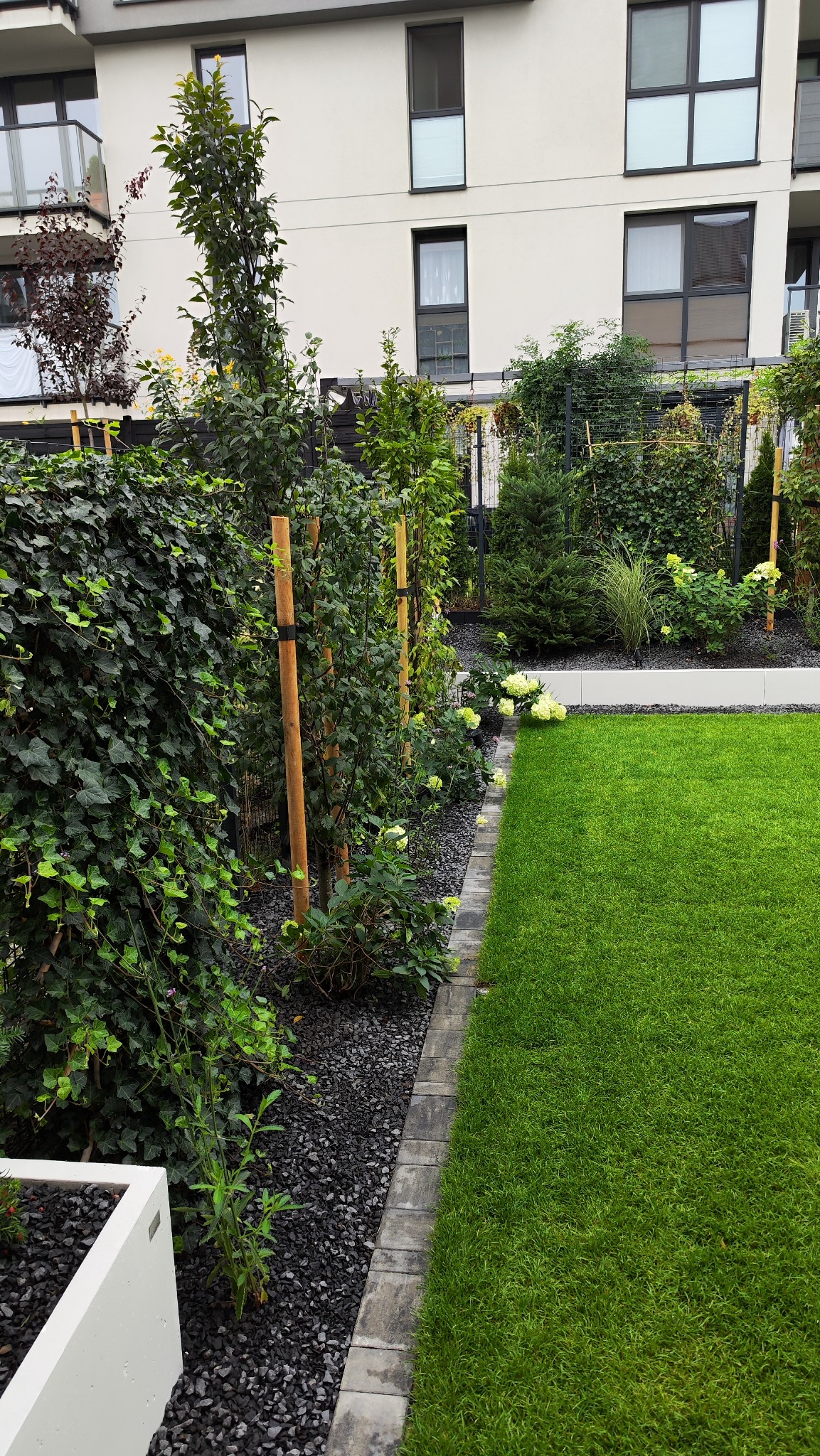 Zadbany ogród miejski z trawnikiem, rabatami z czarnego grysu i roślinnością przy nowoczesnym budynku. Widoczne drzewka podparte palikami i obrzeża z kostki.