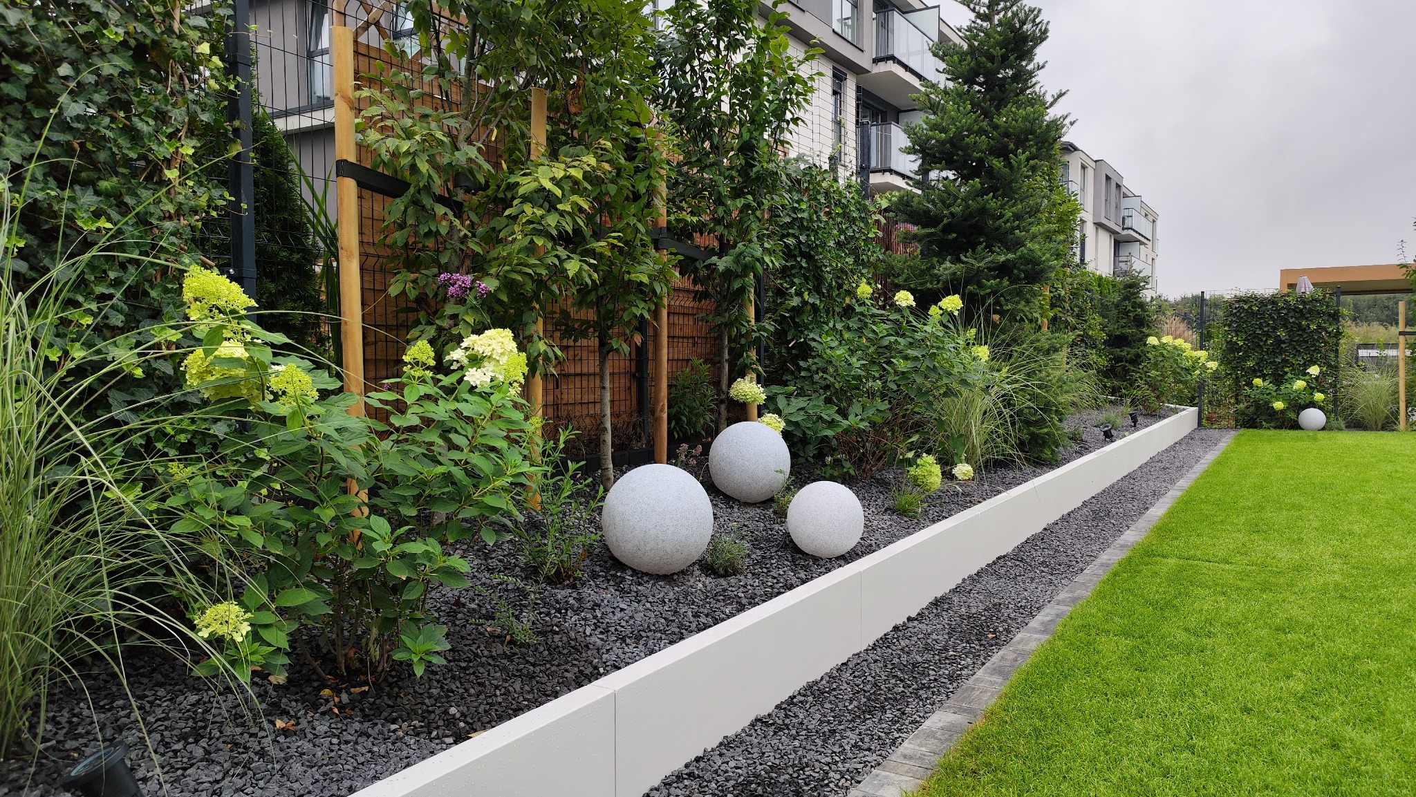 Nowoczesny ogród z kulistymi dekoracjami, hortensjami i trawami ozdobnymi, oddzielony białym obrzeżem od trawnika. W tle zabudowa wielorodzinna.