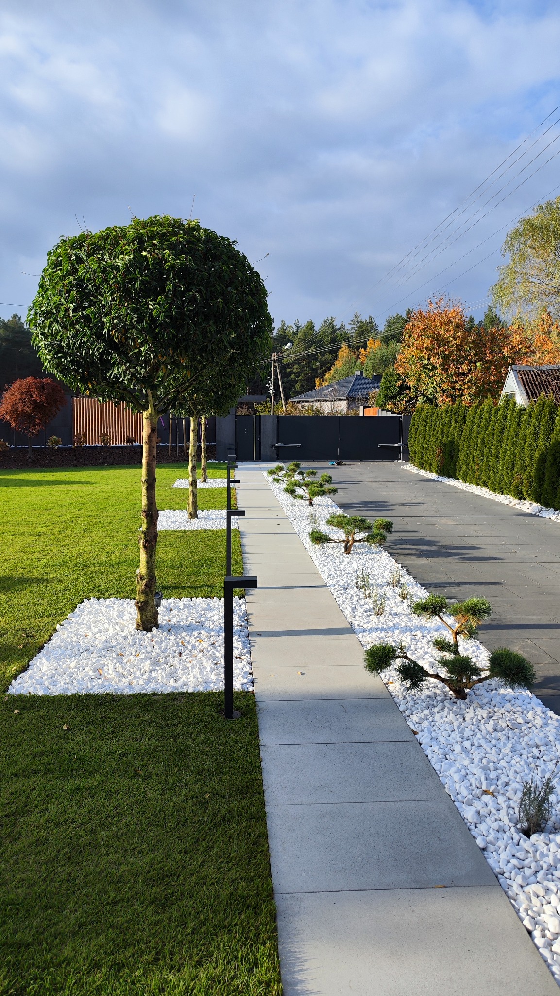Ogród z równo przystrzyżonym trawnikiem, drzewami o kulistych koronach, białymi kamieniami i ścieżką z szarych płyt prowadzącą do bramy w tle.