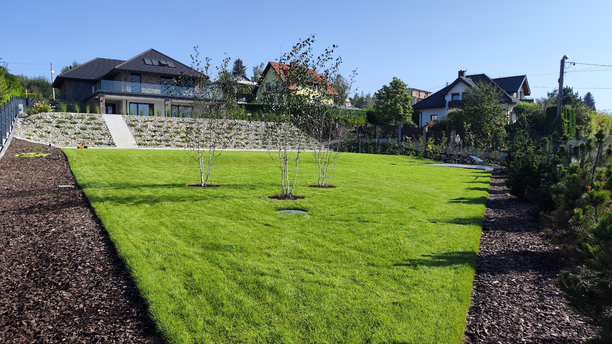 Zadbany trawnik z trzema młodymi drzewkami brzozy na tle domu z kamienną elewacją i skalniakiem. Granica trawnika wyłożona korą drzewną. Słoneczny dzień.